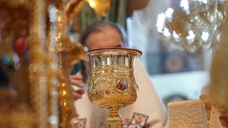 teodosie episcopul tomisului avere