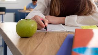 elevi la scoala vacanta de iarna 2023-2024