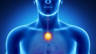 Organul "inutil" din corpul nostru pe care medicii &icirc;l extirpă are, de fapt, un rol anti-cancer important