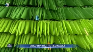 VIDEO- Bradul din hârtie reciclată, creația care a durat 4 ani. Creatorii bradului atipic sunt studenți