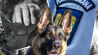 VIDEO - Fragmente dintr-un cadavru uman, descoperite în nordul județului Argeș de un localnic. Polițiștii au demarat cercetările