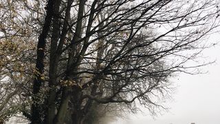 Vremea &icirc;n săptăm&acirc;na 11-17 decembrie &icirc;n Rom&acirc;nia