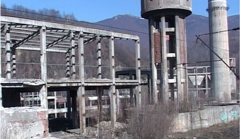 sinucidere lupeni