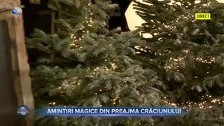 VIDEO- Amintiri magice din preajma Crăciunului, redate printr-o ședință foto profesională
