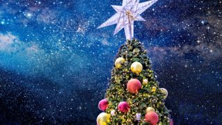 brad de craciun