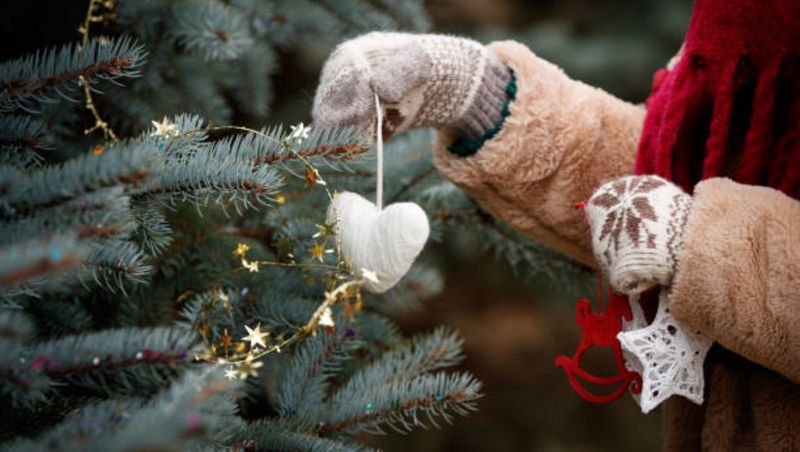 vremea iarna glob de craciun