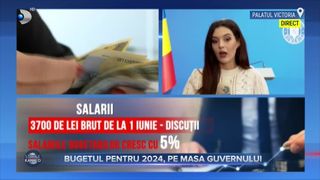 VIDEO - Bugetul pentru 2024, pe masa Guvernului. Cum vor fi alocați banii pentru anul ce urmează?