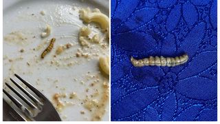 Elevii au reclamat faptul că au găsit viermi &icirc;n m&acirc;ncarea servită la cantină