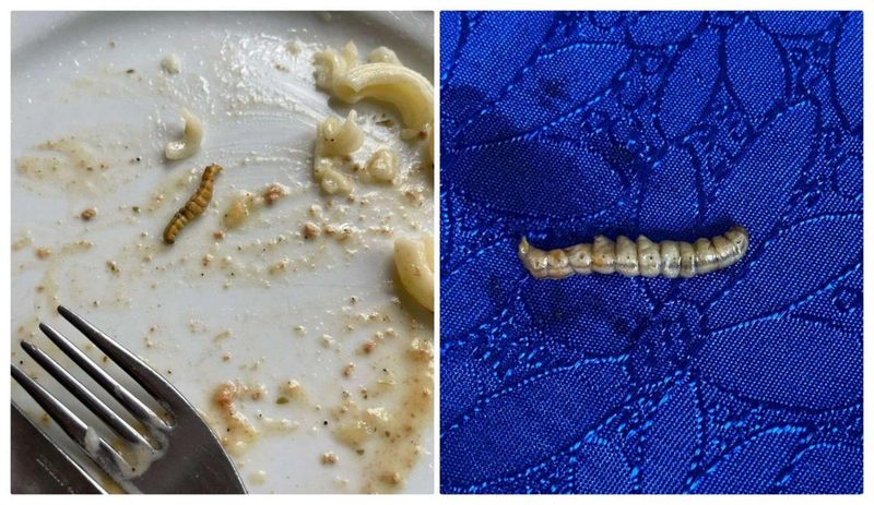 Elevii au reclamat faptul că au găsit viermi în mâncarea servită la cantină