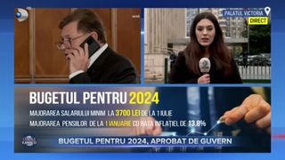 VIDEO - Bugetul pentru 2024, aprobat de Guvern. Ce prevede acesta