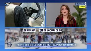 VIDEO - Peste 200 de locuri de muncă pentru rom&acirc;ni. Care sunt domeniile &icirc;n care pot activa