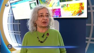 VIDEO - Iarna este doar &icirc;n calendar. Pentru ț&acirc;nțari este primăvară &icirc;n toată regula