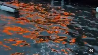 flacari restaurant pe lac snagov