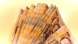 O nouă indemnizație a fost adoptată de Guvern. Peste 11.000 de lei pe lună, pentru tot restul vieții, pentru mii de români