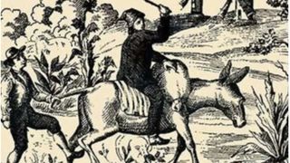 Poți să găsești femeia, pisica și cățelul în iluzia optică de mai jos? Doar 2% dintre oameni trec acest test IQ