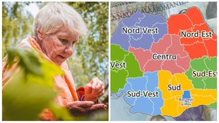 Top 5 județe cu cele mai mari pensii din Rom&acirc;nia. Diferență de 1.000 de lei pe lună față de "polul sărăciei"