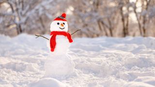 om de zapada vremea de craciun