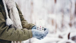 persoana care tine in mana o casuta iarna