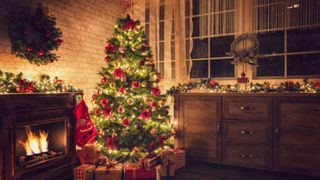 brad de craciun semineu