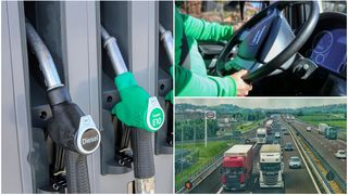 Cum a încercat o șoferiță de TIR din România să fure motorină împreună cu colegii ei?! Femeia a fost arestată în Franța