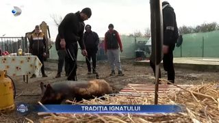 VIDEO - Tradiția Ignatului, dusă mai departe. Mulți rom&acirc;ni &icirc;ncă o păstrează cu sfințenie