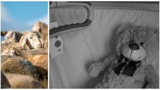 Copil mort Țăndărei