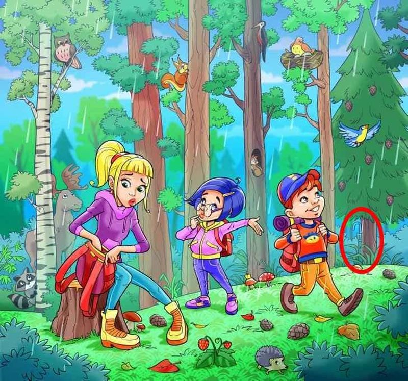 iluzie optica Soluția la testul IQ de sărbători