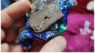 Praline viermi Satu Mare