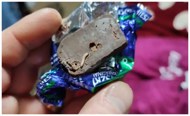 Praline viermi Satu Mare