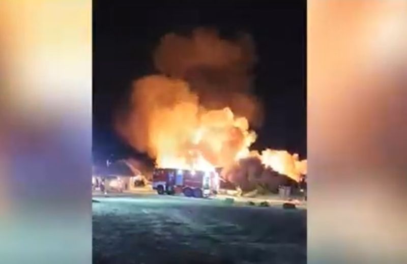 Infern pentru turiștii cazați la Ferma Dacilor