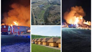 Patron Ferma Dacilor