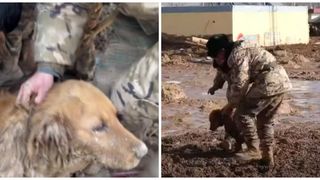 Moment emoționant! Un c&acirc;ine a supraviețuit miraculos peste 30 de ore sub moloz, după cutremurul devastator din China