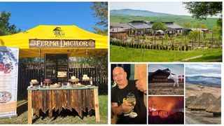 Reșouri Ferma Dacilor