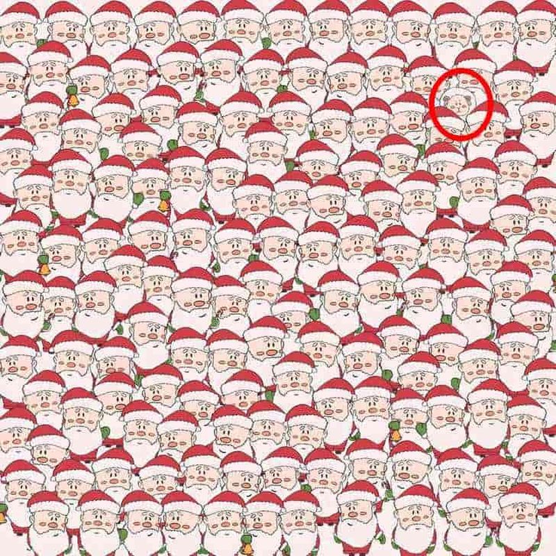 Soluția iluziei optice: unde se ascundea intrusul?