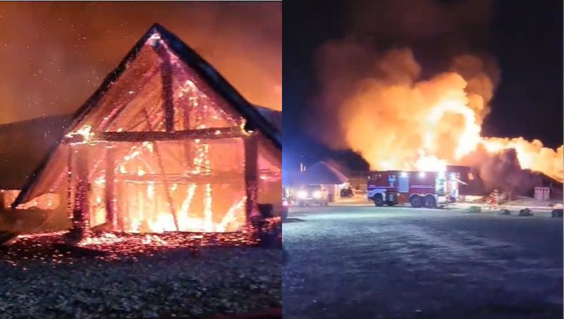 tragedie incendiu ferma dacilor