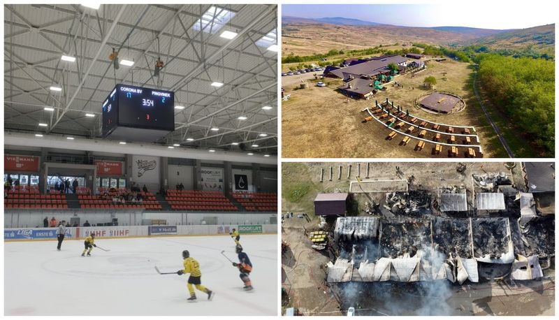 Fiu patron Ferma Dacilor