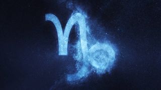 semn zodiacal capricorn