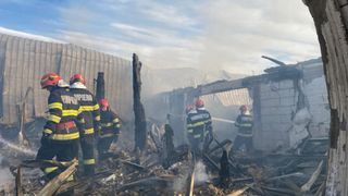 incendiu ferma dacilor