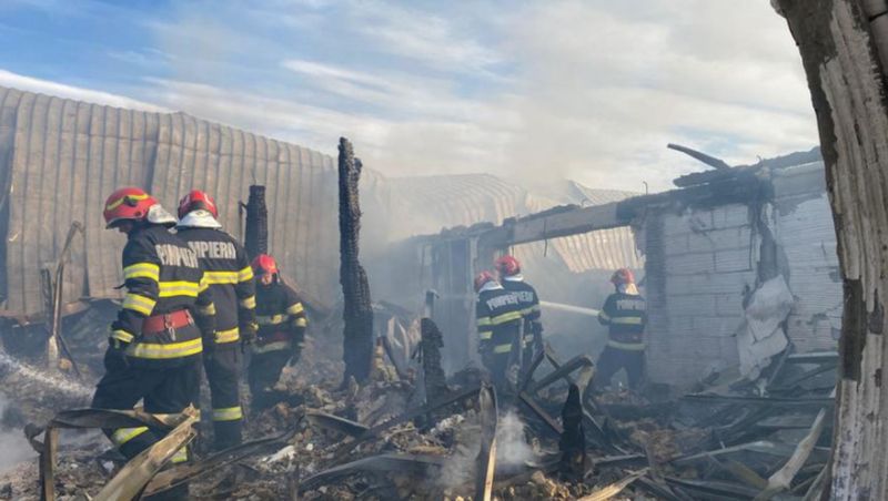 incendiu ferma dacilor