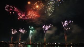 VIDEO Lista orașelor din România care au renunțat la artificii de Revelion pentru protejarea animalelor și mediului