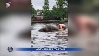 VIDEO - Adevăratul Tarzan a cucerit internetul. Se agață de liane, &icirc;noată cu tigrii și vorbește pe limba maimuțelor