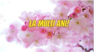 la multi ani - felicitare