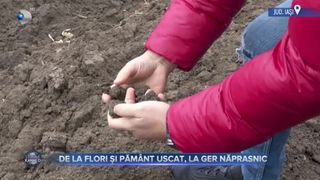 VIDEO- De la flori și pământ uscat, la ger năprasnic. Se schimbă vremea în România