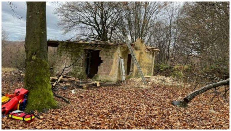 Paul strivit acoperiș