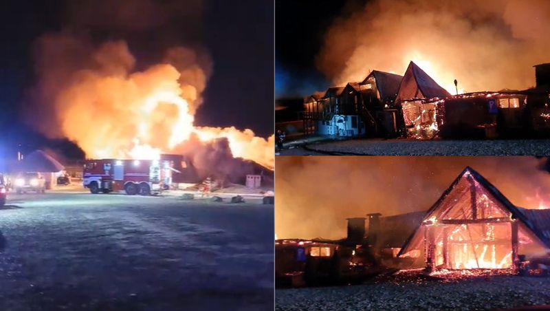 ferma dacilor incendiu