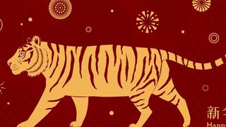 Zodiac chinezesc 2024 Tigru