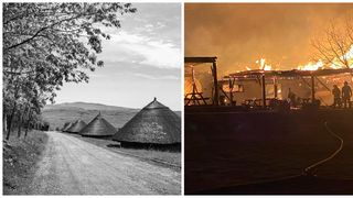 Expertiză Ferma Dacilor