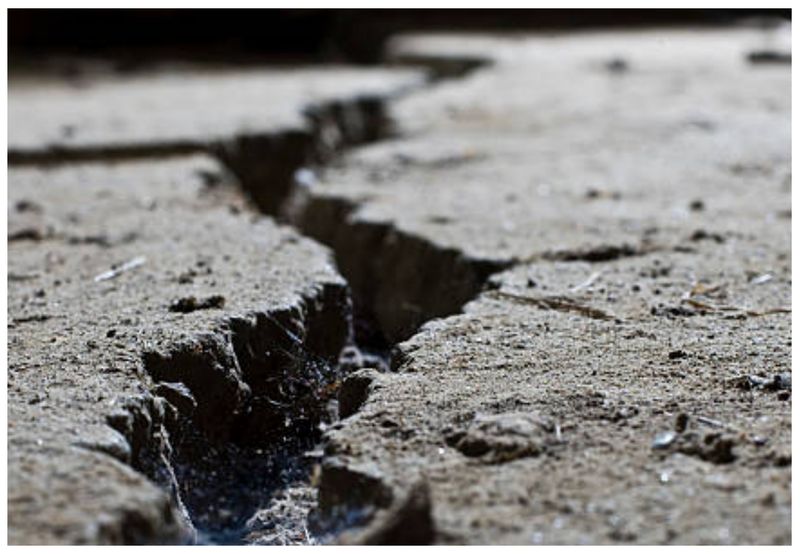 Cutremur România 2024