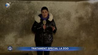VIDEO- Tratament special la Zoo. Animalele sunt protejate de ger