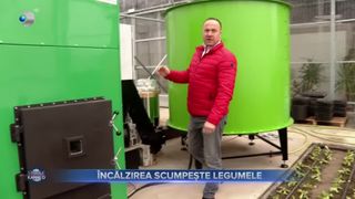 VIDEO- &Icirc;ncălzirea scumpește legumele. Prețul cu care pleacă de la producători include și costul căldurii din solarii